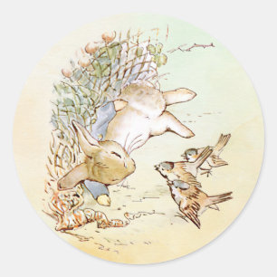 Peter Rabbit met vogels Ronde Sticker