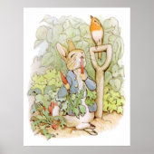 PETER RABBIT Nursery Characters Peter Rabbit eatin Poster (Voorkant)