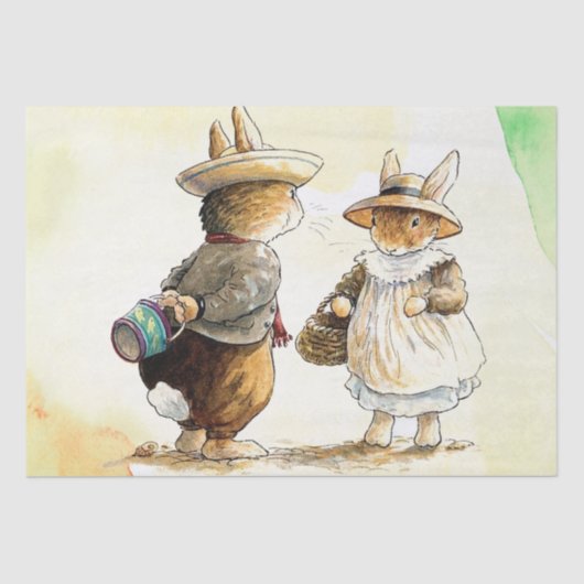 Peter Rabbit (paar) Weefselpapier Tissuepapier (Voorkant)