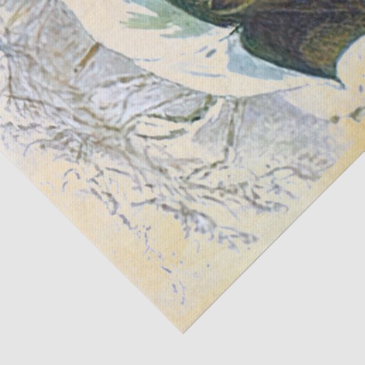 Peter Rabbit (paraplu) Weefselpapier Tissuepapier (Detail)