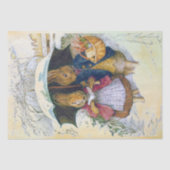 Peter Rabbit (paraplu) Weefselpapier Tissuepapier (Voorkant)