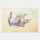 Peter Rabbit set Inpakpapier Vel (Voorkant 3)