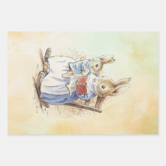Peter Rabbit set Inpakpapier Vel (Voorkant 3)