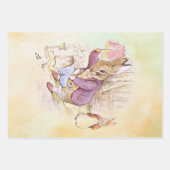 Peter Rabbit set Inpakpapier Vel (Voorkant 2)