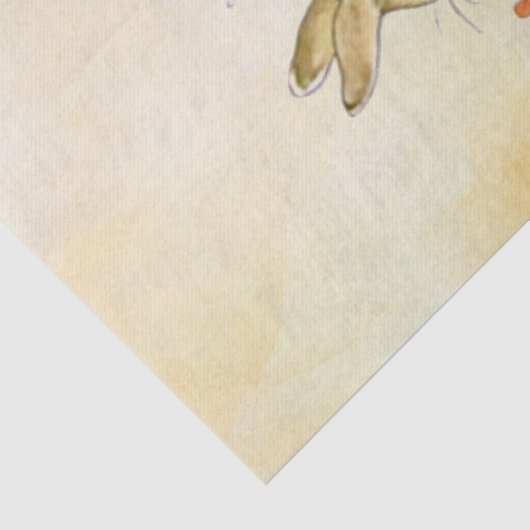 Peter Rabbit (shoe) Weefselpapier Tissuepapier (Detail)