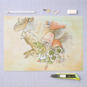 Peter Rabbit (shoe) Weefselpapier Tissuepapier (Craft)