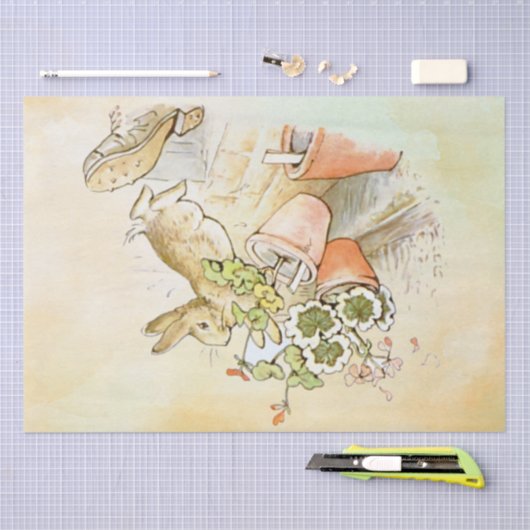 Peter Rabbit (shoe) Weefselpapier Tissuepapier (Craft)