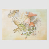 Peter Rabbit (shoe) Weefselpapier Tissuepapier (Voorkant)
