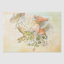 Peter Rabbit (shoe) Weefselpapier Tissuepapier