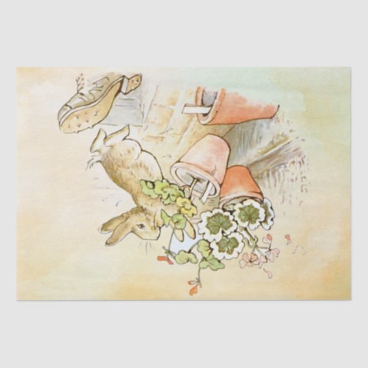 Peter Rabbit (shoe) Weefselpapier Tissuepapier (Voorkant)