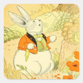 Peter Rabbit Sticker (Voorkant)
