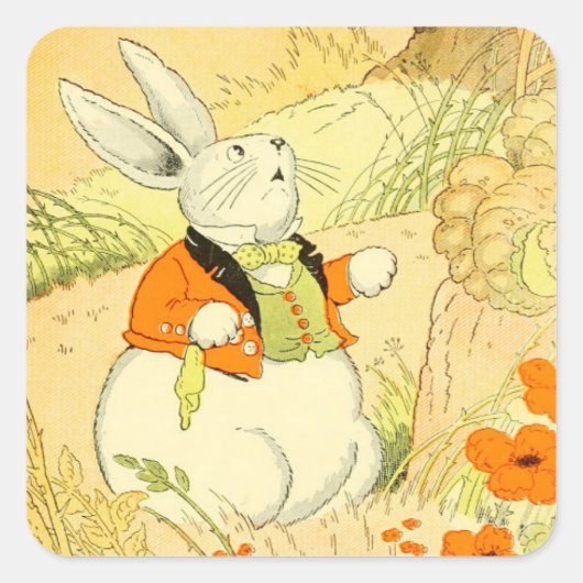 Peter Rabbit Sticker (Voorkant)
