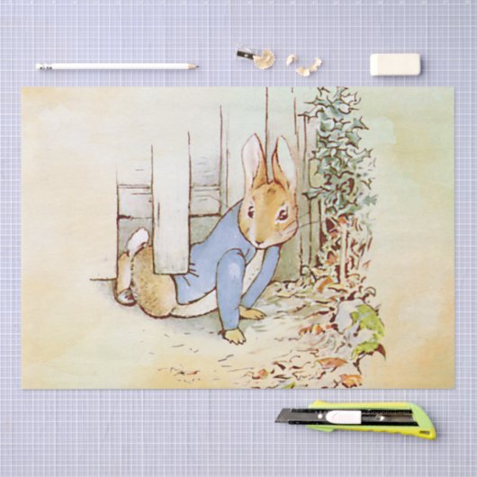 Peter Rabbit Tissue Paper Tissuepapier (Craft)