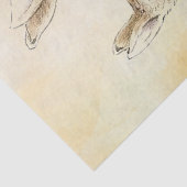 Peter Rabbit Tissue Paper Tissuepapier (Detail)