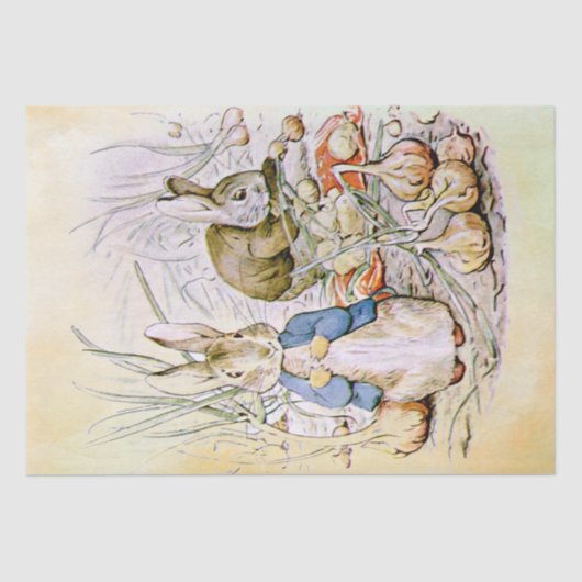 Peter Rabbit (uien) Weefselpapier Tissuepapier (Voorkant)