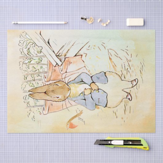 Peter Rabbit (vogel) Weefselpapier Tissuepapier (Craft)
