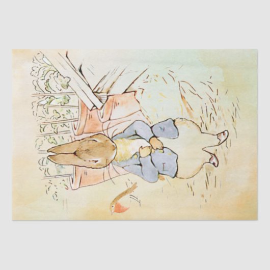 Peter Rabbit (vogel) Weefselpapier Tissuepapier (Voorkant)