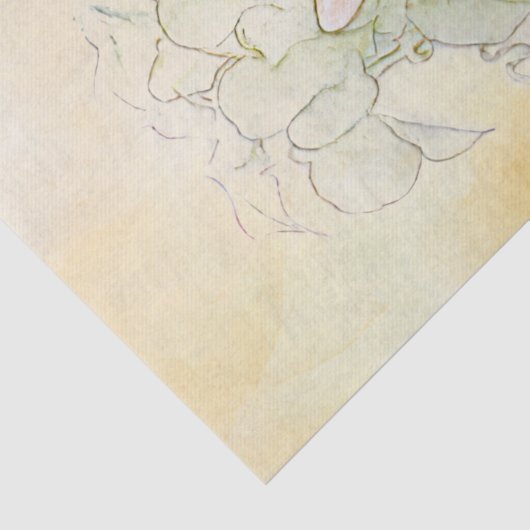 Peter Rabbit (wortel) Weefselpapier Tissuepapier (Detail)