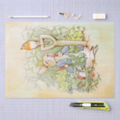 Peter Rabbit (wortel) Weefselpapier Tissuepapier (Craft)