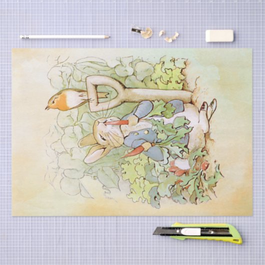 Peter Rabbit (wortel) Weefselpapier Tissuepapier (Craft)