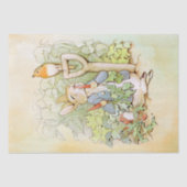 Peter Rabbit (wortel) Weefselpapier Tissuepapier (Voorkant)