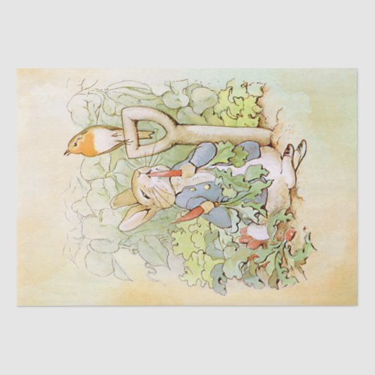 Peter Rabbit (wortel) Weefselpapier Tissuepapier (Voorkant)