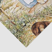 Peter Rabbit's Buurt beroemd gemaakt door Beatrix Tissuepapier (Detail)