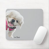 Peter Rottentail Muismat (Met muis)