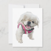 Peter Rottentail Note Cards Notitiekaartje (Voorkant)