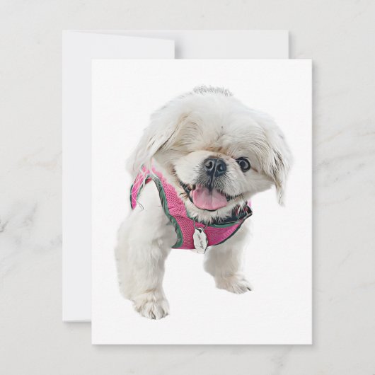 Peter Rottentail Note Cards Notitiekaartje (Voorkant)