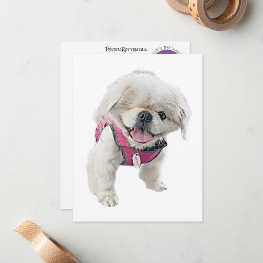 Peter Rottentail Note Cards Notitiekaartje (Voorkant / Achterkant in situ)