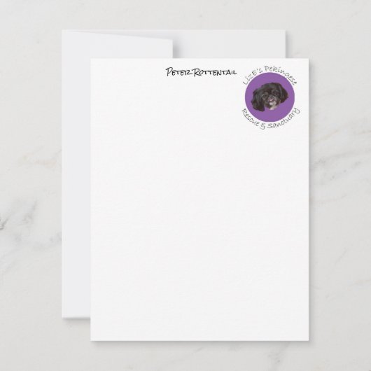 Peter Rottentail Note Cards Notitiekaartje (Achterkant)