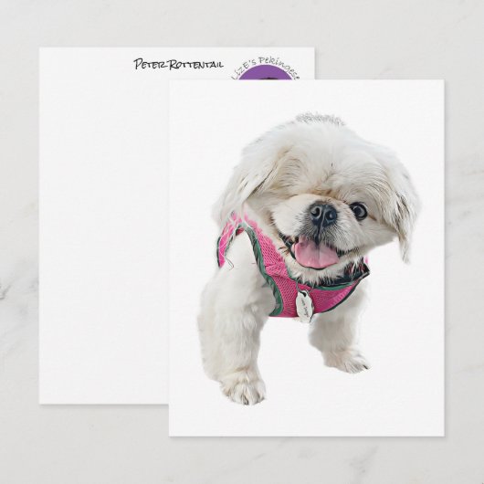 Peter Rottentail Note Cards Notitiekaartje (Voorkant / Achterkant)