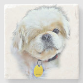 Peter Rottmet Stone Onderzetter (Voorkant)