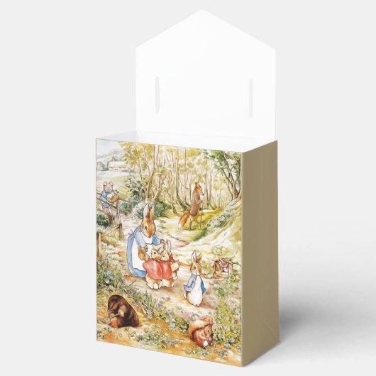 Peter the Rabbit Bedankdoosjes (Geopend)