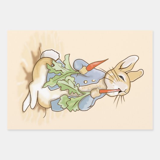 Peter the Rabbit Eating a Carrot Inpakpapier Vel (Voorkant 3)