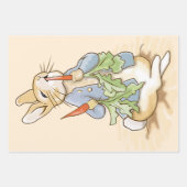Peter the Rabbit Eating a Carrot Inpakpapier Vel (Voorkant)