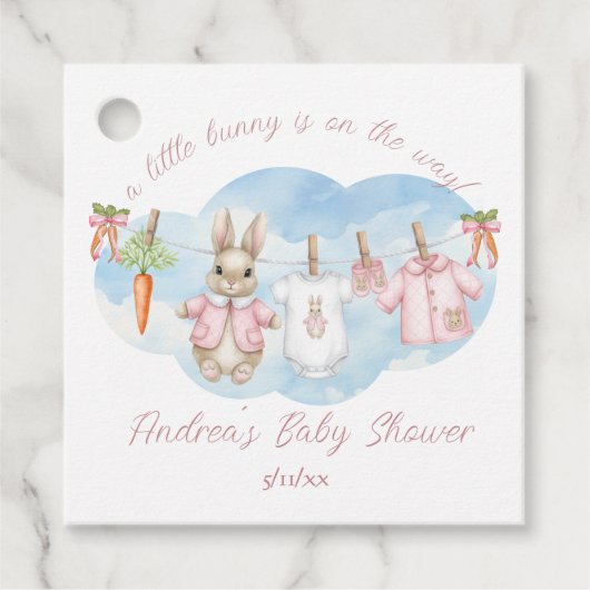 Peter the Rabbit Girl Clothesline Baby Shower Bedankjes Labels (Voorkant)