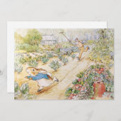 Peter the Rabbit in Mr Mc Gregor's Garden Kaart (Voorkant / Achterkant)