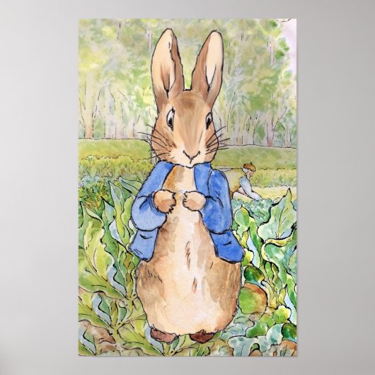 Peter the Rabbit in Mr Mc Gregor's Garden Poster (Voorkant)