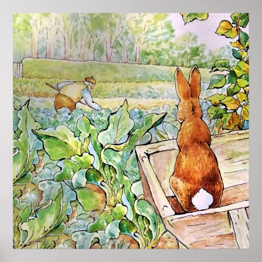 Peter the Rabbit in Mr Mc Gregor's Vegie Garden Poster (Voorkant)