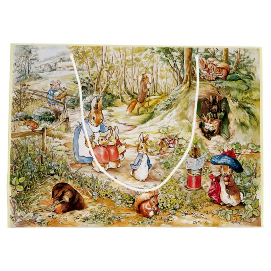 Peter the Rabbit in the Bossen Groot Cadeauzakje