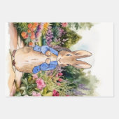 Peter the Rabbit in zijn tuin Inpakpapier Vel (Voorkant 2)