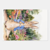 Peter the Rabbit in zijn tuin Inpakpapier Vel (Voorkant)