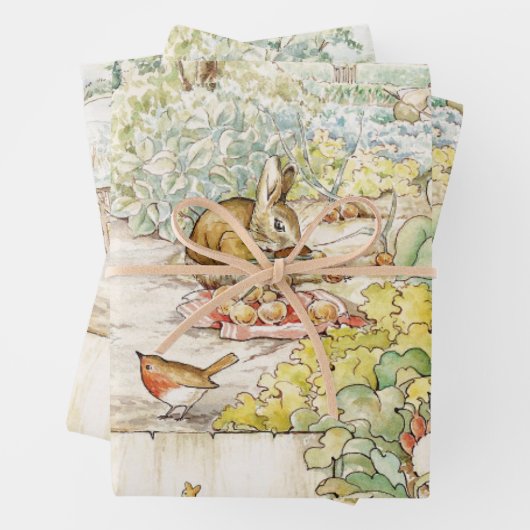 Peter the Rabbit Inpakpapier Vel (In situ)