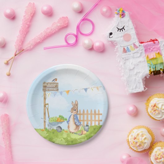 Peter the Rabbit Papieren Bordje (Feest)