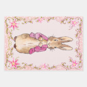 Peter the Rabbit Pink jack Floral Lijst Inpakpapier Vel (Voorkant 2)