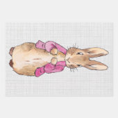 Peter the Rabbit Pink Jacket Grey Linen Inpakpapier Vel (Voorkant 3)