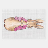 Peter the Rabbit Pink Jacket Grey Linen Inpakpapier Vel (Voorkant 2)