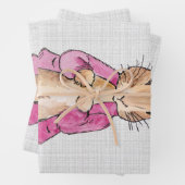 Peter the Rabbit Pink Jacket Grey Linen Inpakpapier Vel (In situ)